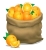 illustration-d-un-sac-d-oranges-sur-un-fond-blanc-vecteur-75226626.jpg